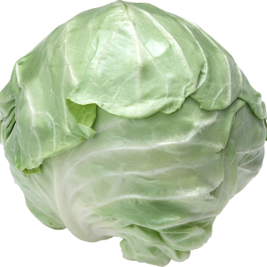 Cabbage PNG image
