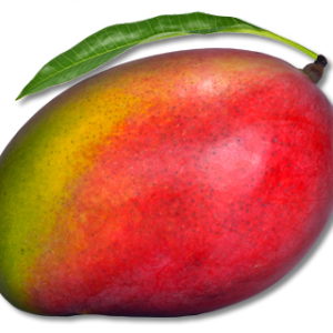 Mango PNG image
