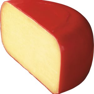 Holland cheese PNG image
