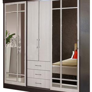 Closet PNG