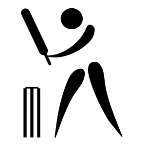 Cricket PNG