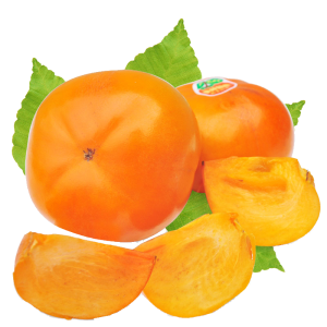 Persimmon PNG