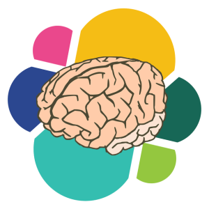 Brain PNG