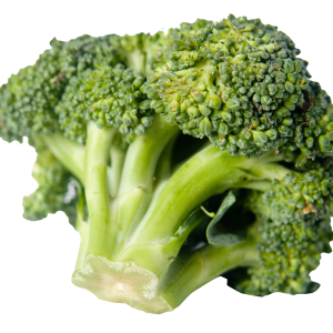 Broccoli PNG