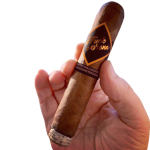 Cigar in hand PNG