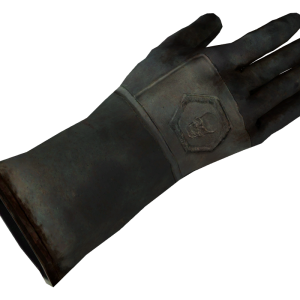 Gloves PNG
