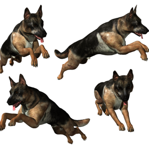 German Shepherd PNG