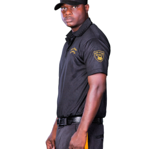 Guard, security PNG