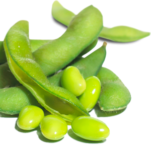 Green bean PNG