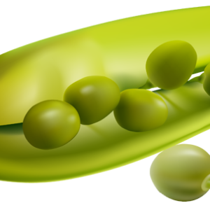Pea PNG