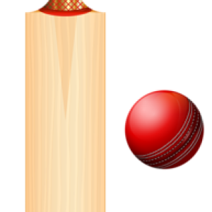 Cricket bat PNG