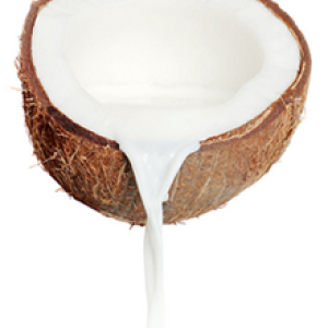 Coconut PNG image