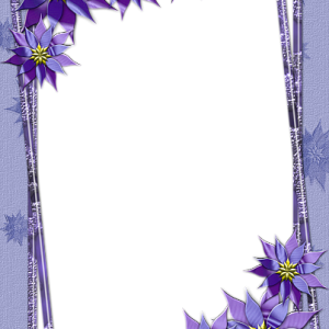 Picture, photo frame PNG