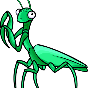 Mantis PNG