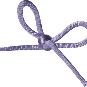 Shoelaces PNG