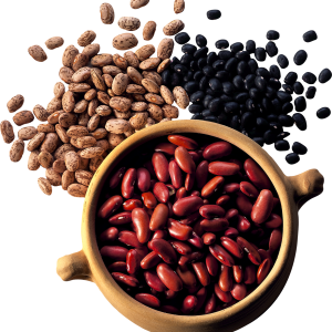 Kidney beans PNG