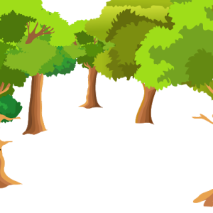 Forest PNG