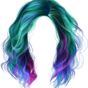 Hair wig PNG