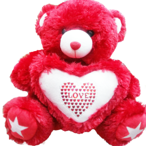 Teddy bear PNG