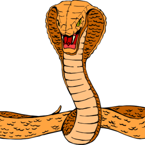 Cobra PNG