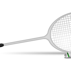 Badminton racket PNG image