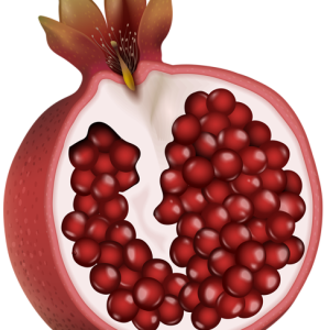 Pomegranate PNG