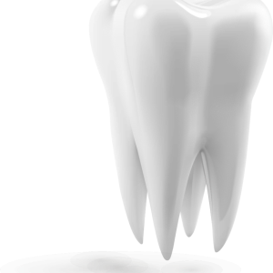 tooth png