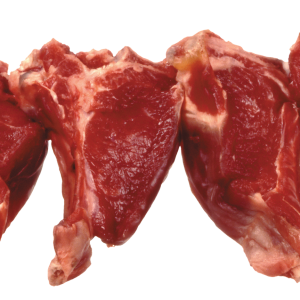 Meat PNG picture