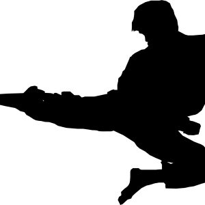 Karate siluete PNG