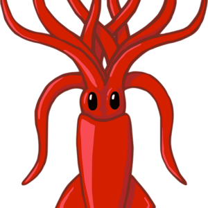 Squid PNG
