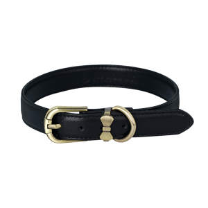 Dog collar PNG