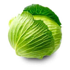 Cabbage PNG image