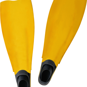 Flippers PNG