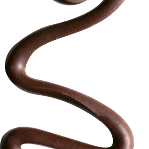 Strawberry in chocolate PNG image