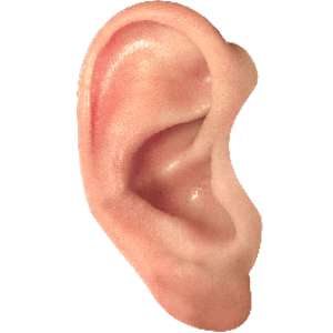 Ear PNG