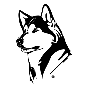 Husky PNG