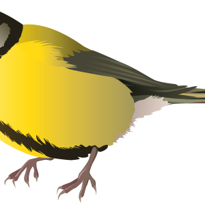 Bird PNG