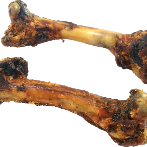 Bone PNG