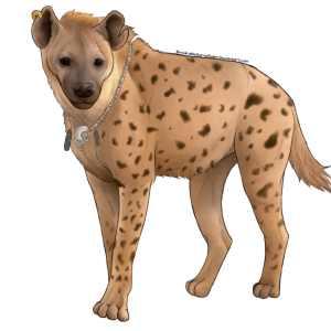 Hyena PNG