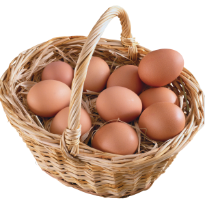 Eggs PNG image