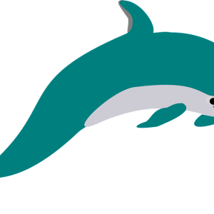 Dolphin PNG