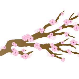 Sakura PNG