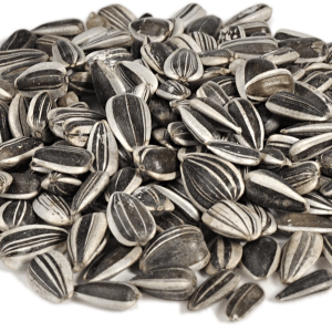 Sunflower seeds PNG