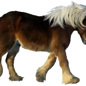 Pony PNG