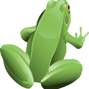 Green frog PNG