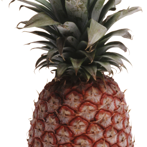 Pineapple PNG image, free download