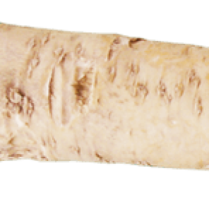 Horseradish PNG