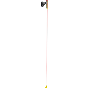 Trekking pole PNG