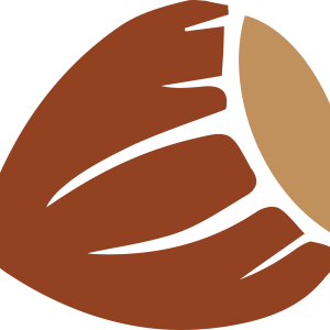 hazelnut PNG