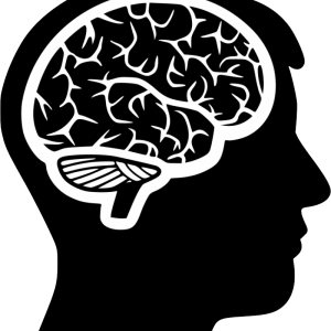 Brain PNG